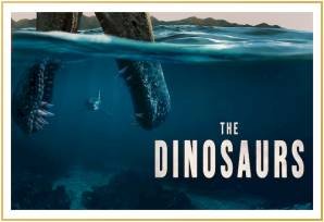 Media Space Advertising